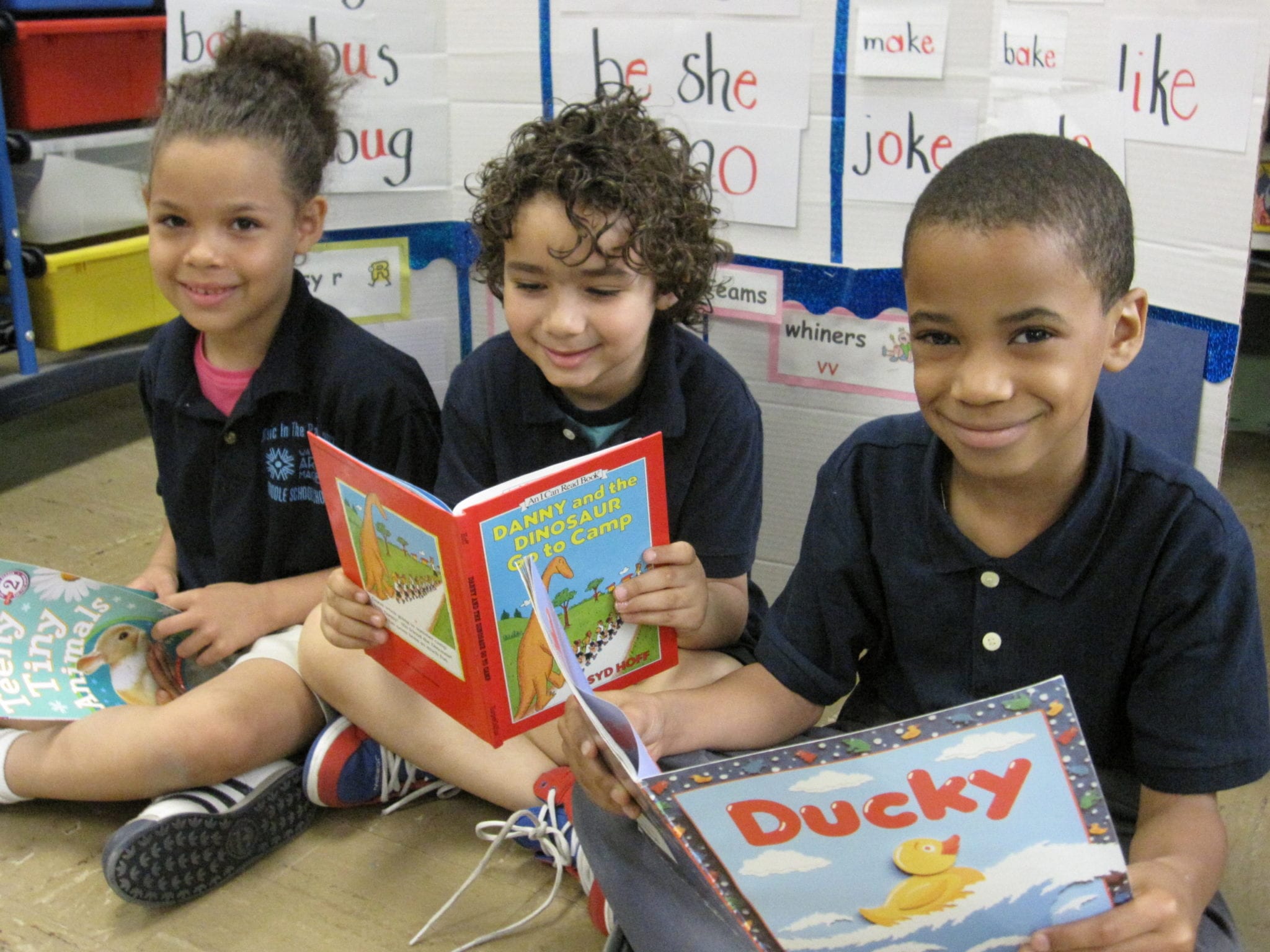 Reading Comprehension Library Comprehension online Course - Literacy How