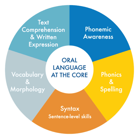 oral morphology fluency phonemic important phonological reading expression